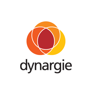 Dynargie cores2